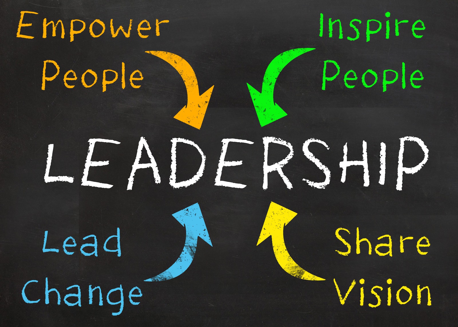 Leadership Alignment Insights Discovery CODIR