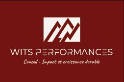 WITS Performances – Conseil Performance Industrielle